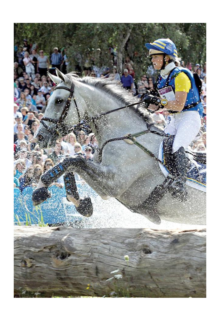 Protezioni PREMIER EQUINE AirCooled anteriore