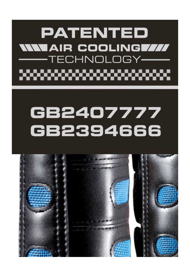 Protektoren PREMIER EQUINE AirCooled hinten