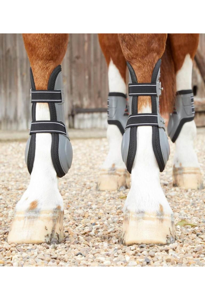 Protektoren PREMIER EQUINE Kevlarfront