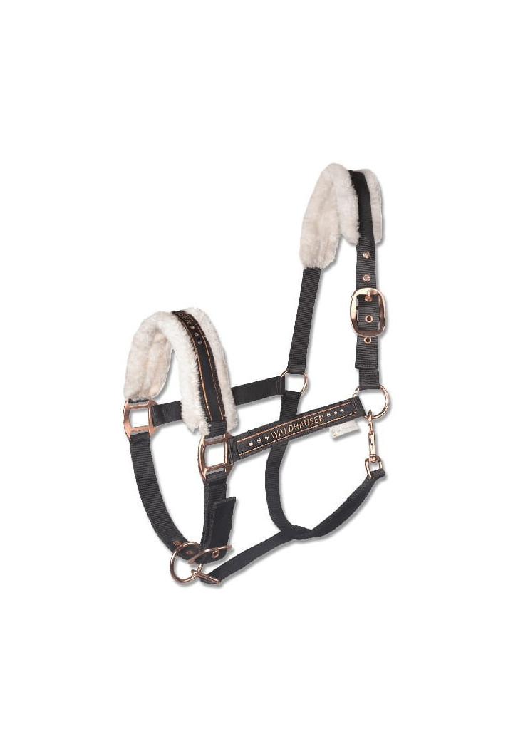 Cavezza WALDHAUSEN Elegante