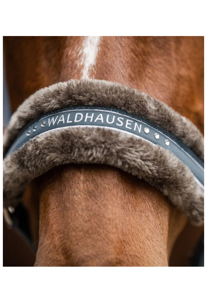 Căpăstru WALDHAUSEN elegant