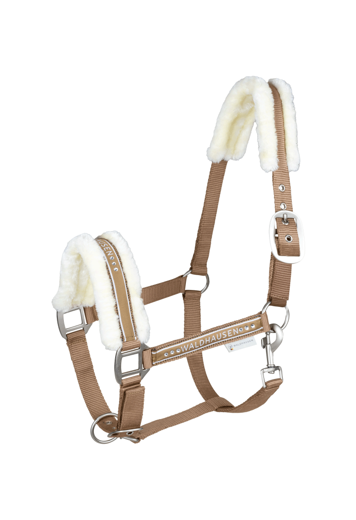 Cavezza WALDHAUSEN Elegante