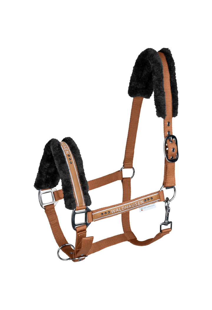 Cavezza WALDHAUSEN Elegante