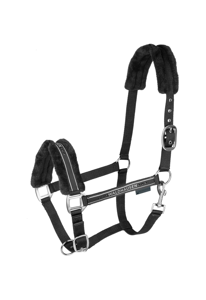 Cavezza WALDHAUSEN Elegante