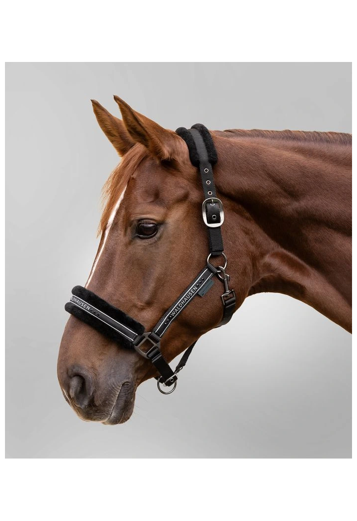 Halfter WALDHAUSEN Elegant