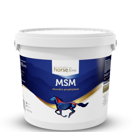 HORSE LINE MSM 3000g supliment comun