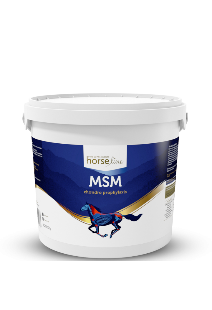 HORSE LINE MSM 3000g společný doplněk