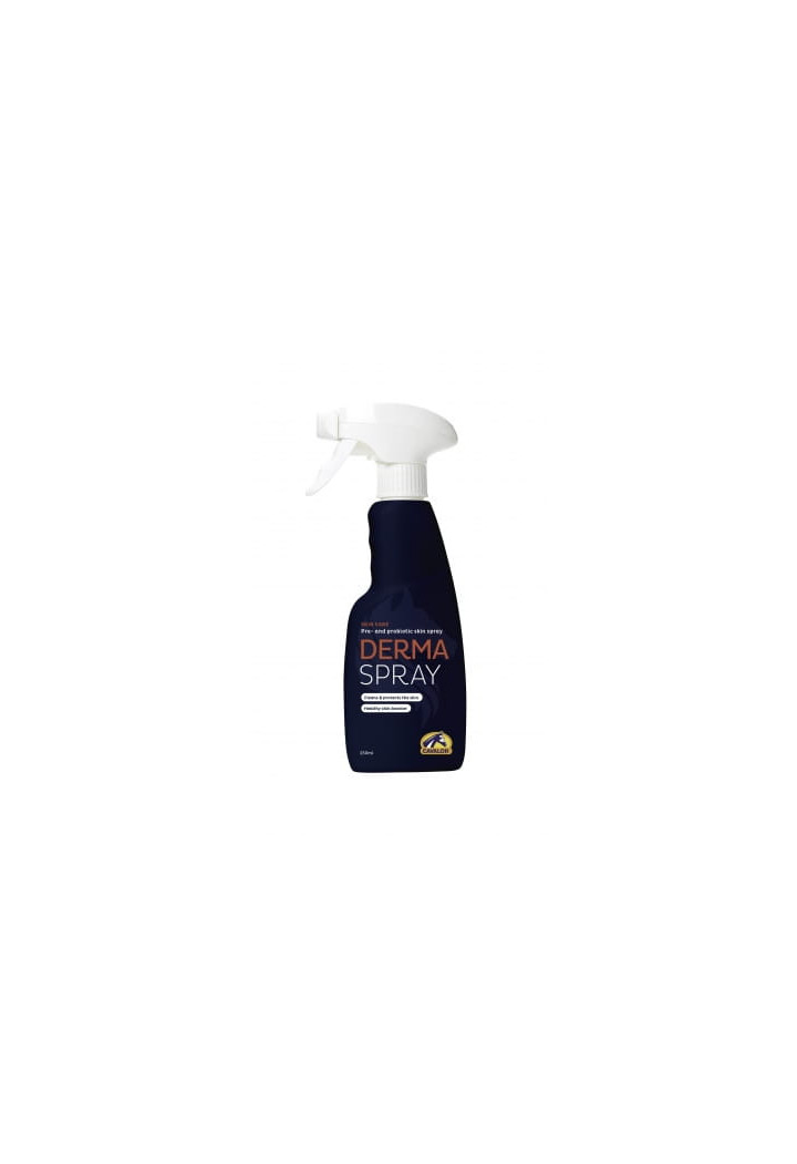CAVALOR Spray DermaSpray antiseptisch 250ml