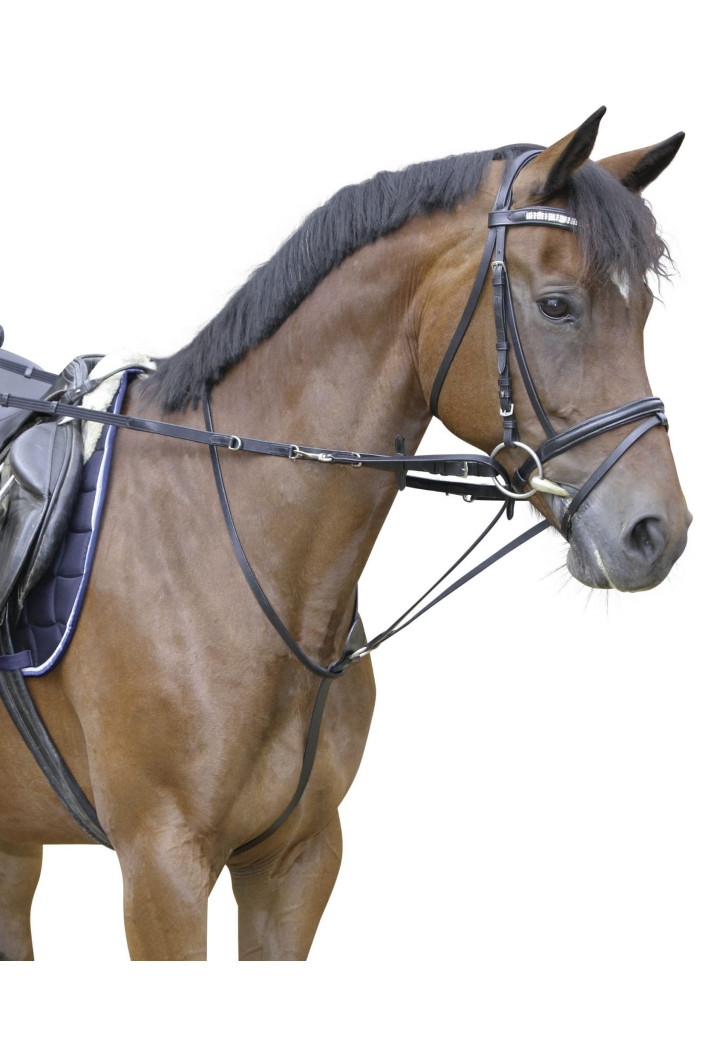 Reins Thiedemann COVALLIERO