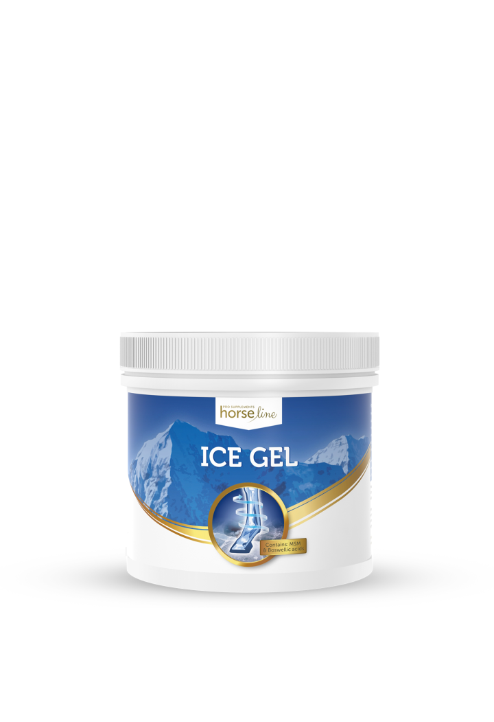 HORSE LINE Ice Gel 650ml chladicí gel
