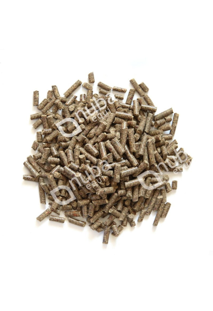 Sfecla Pulpă de sfeclă NUBA EQUI SpeedyBeetMix 20kg