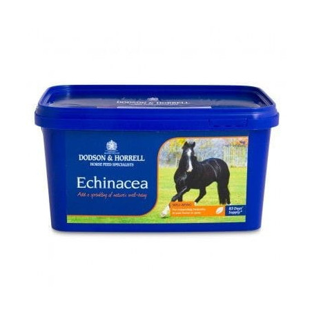 Echinacea D&H getrocknet 1kg
