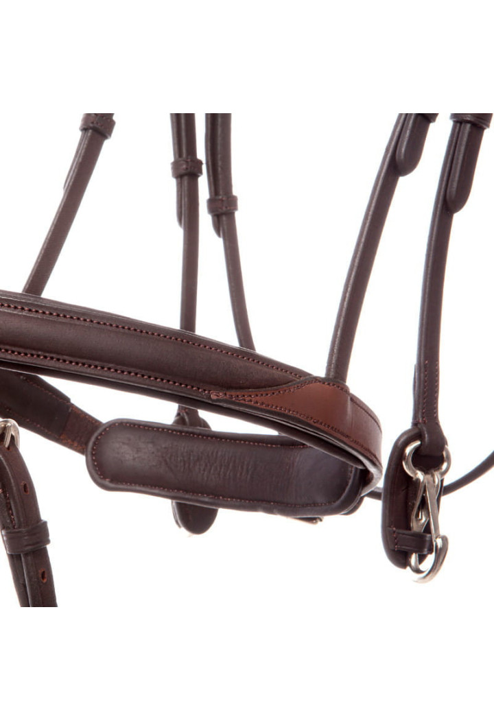 Bridle KAVALKADE EveryDay