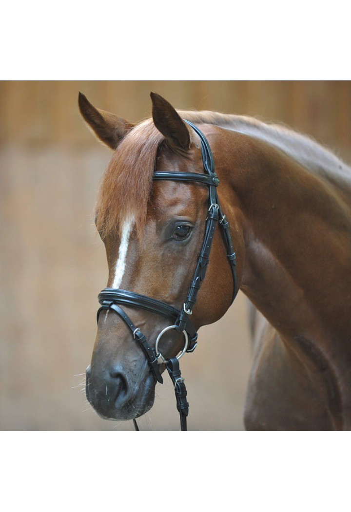 Bridle KAVALKADE Quentin