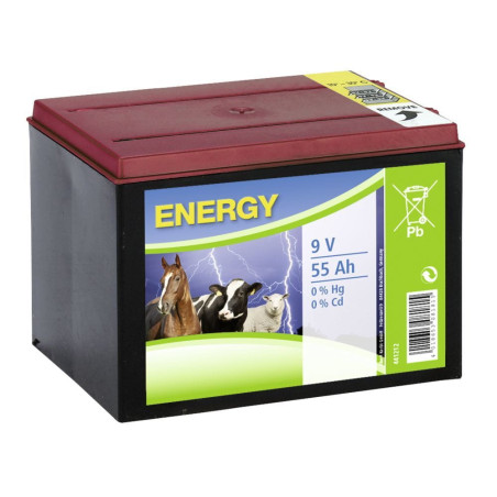 Batterie CORRAL 44212 9 V 55 Ah