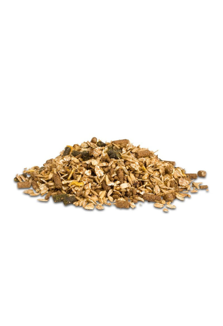 Feed D&H Sechzehn Plus Mix 20kg musli