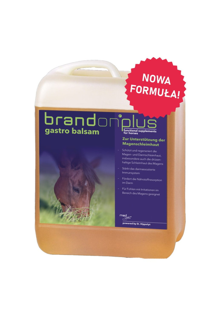 ST.HIPPOLYT Brandon + Gastro Balsam 2,5l