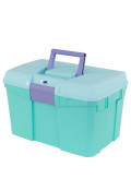 turquoise/violet