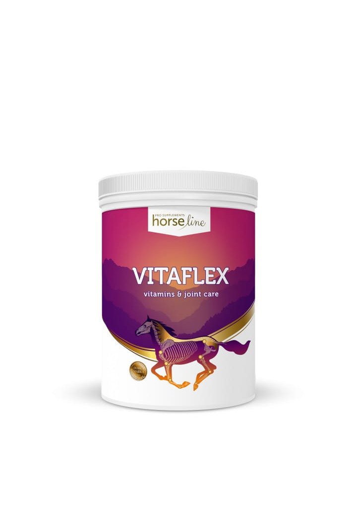 Vitamins and minerals HORSE LINE VitaFlex 2000g