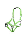 verde neon