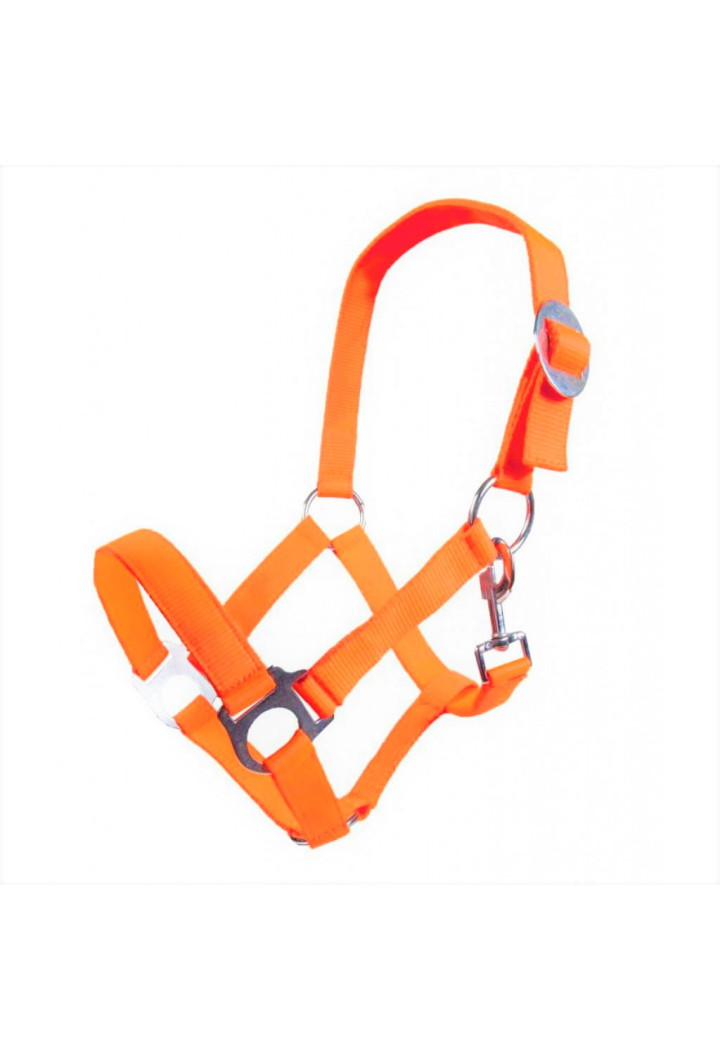 Headcollar HKM Stars Economy