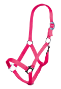 Trandafiri de neon