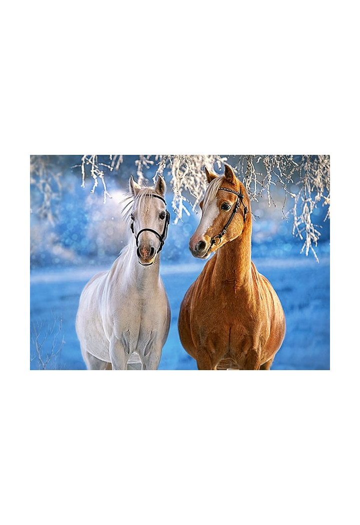 Puzzle CASTORLAND Winter Horses 260 Elemente
