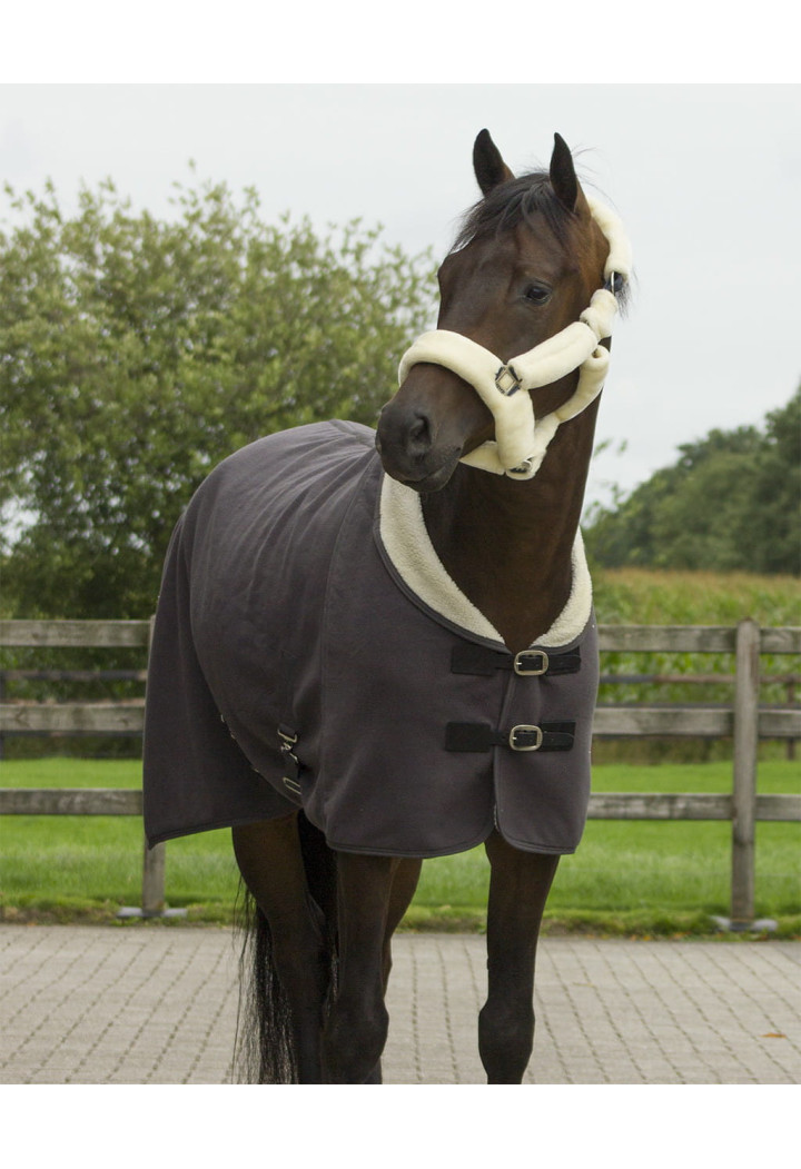 Headcollar QHP Alaska