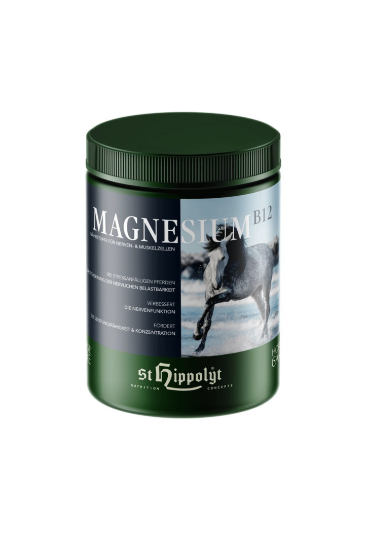 ST.HIPPOLYT Magnesium + B12 supplement 1kg