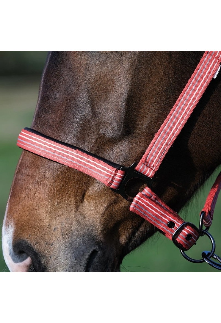 Headcollar BUSSE Smooth Soft
