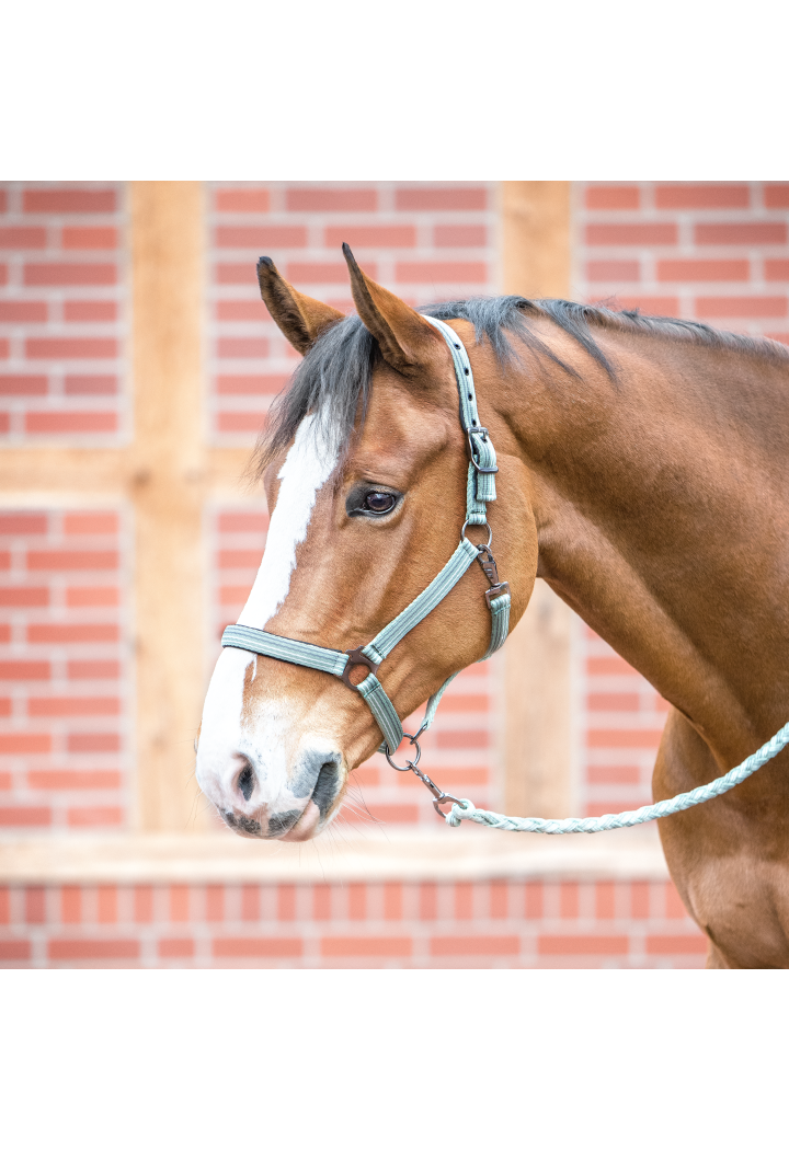 Ohlávka BUSSE Smooth Soft