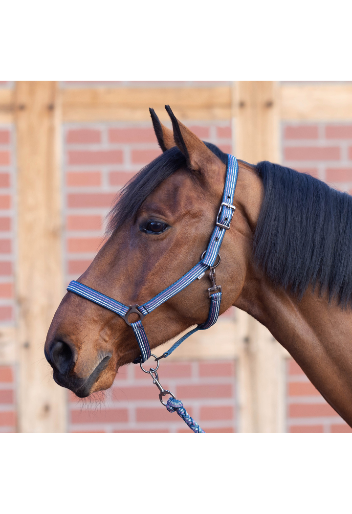 Headcollar BUSSE Smooth Soft