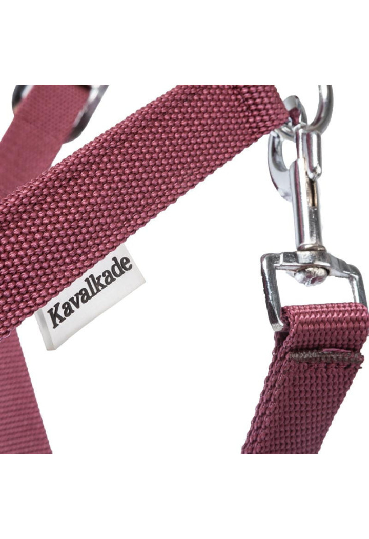 Headcollar KAVALKADE Classic