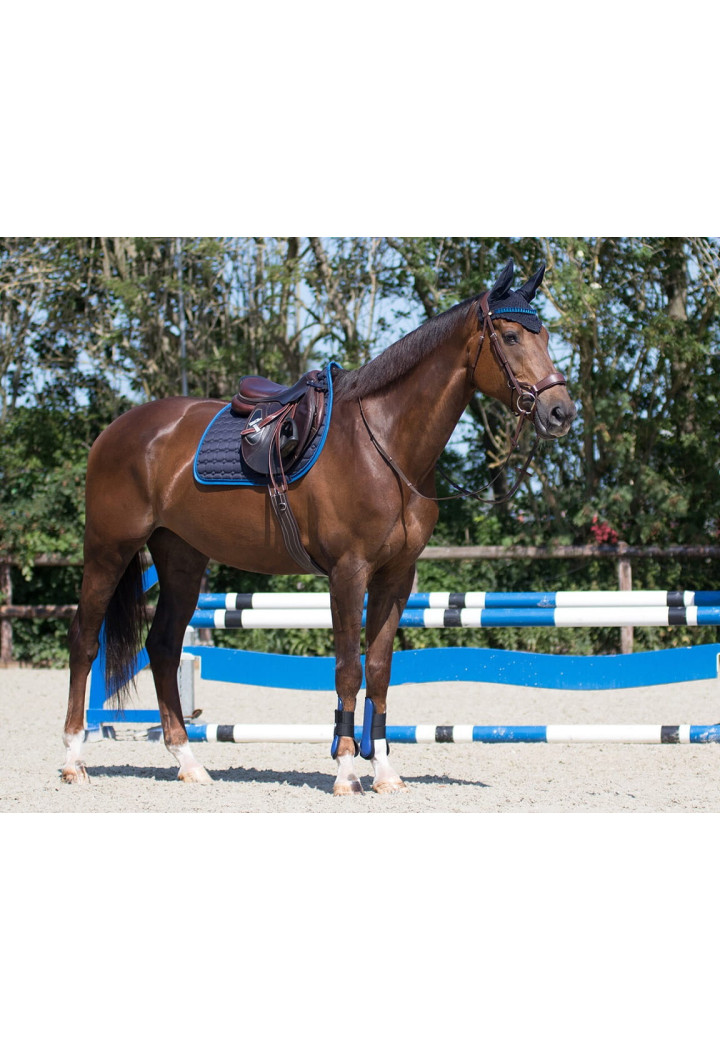 Saddle pad QHP Florence