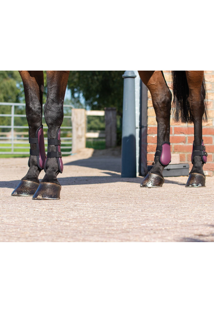 Set protectori QHP Tendon