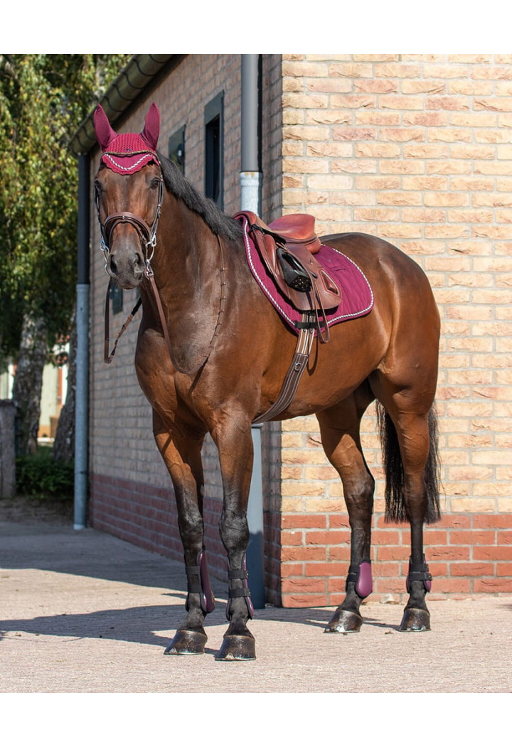 Set protectori QHP Tendon