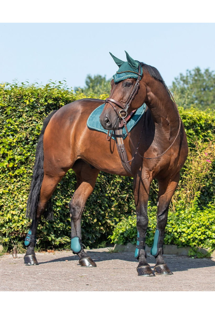 Sada chráničů QHP Tendon