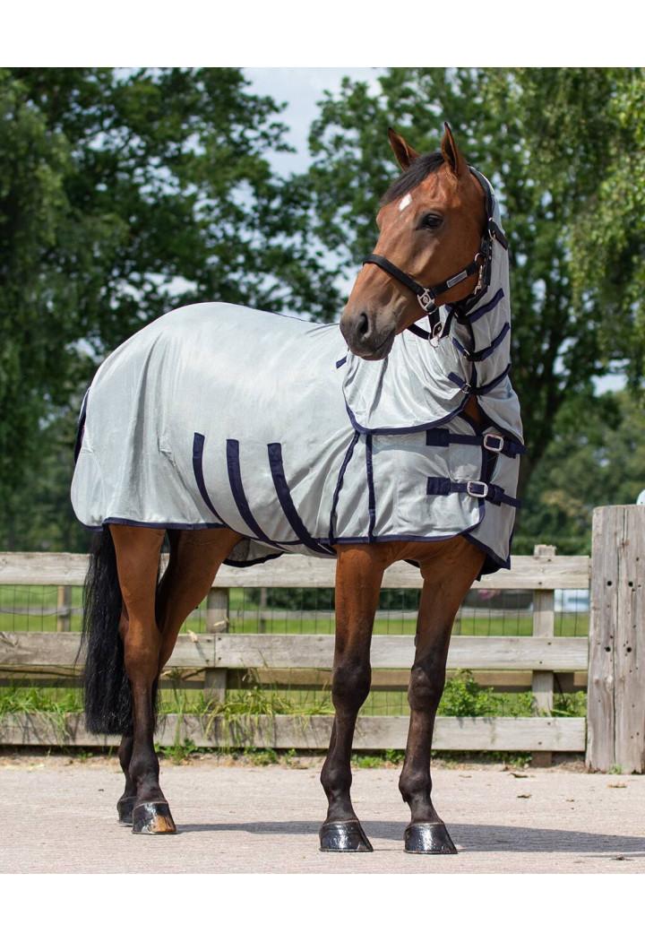 6013