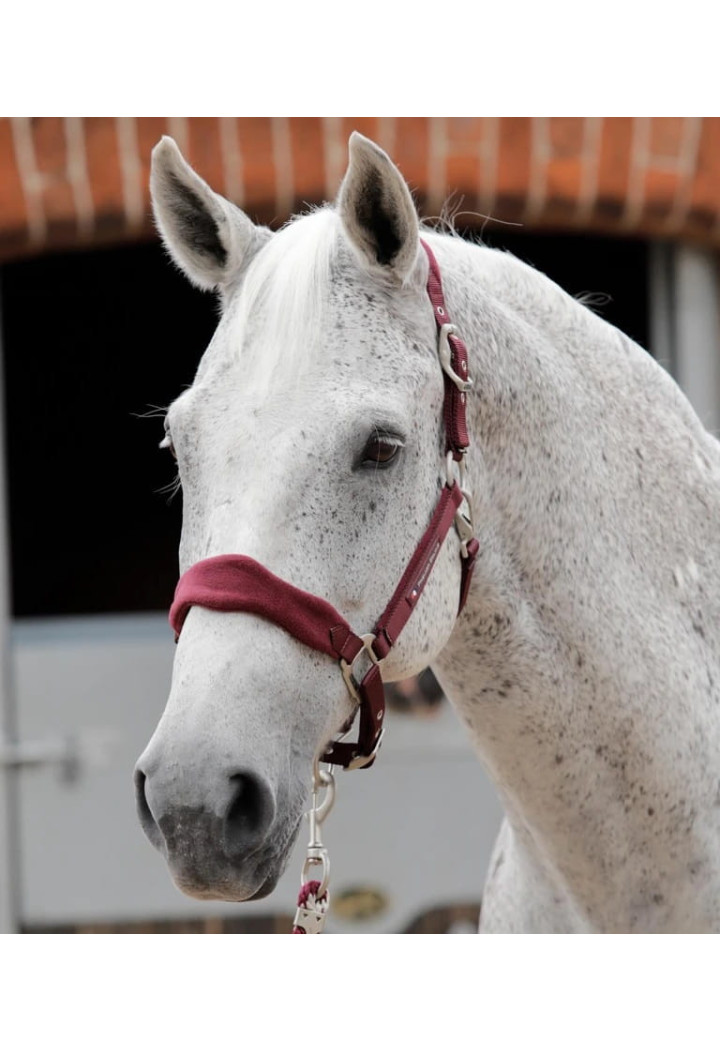 Cavezza PREMIER EQUINE Fleece