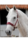 bordowy
