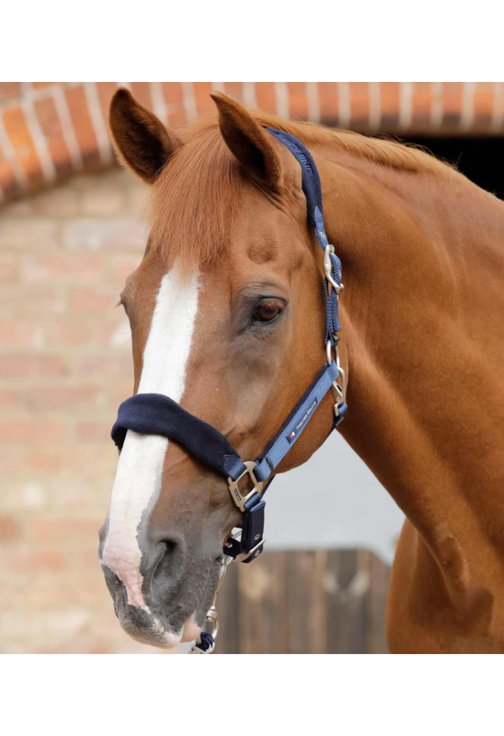Headcollar PREMIER EQUINE Fleece
