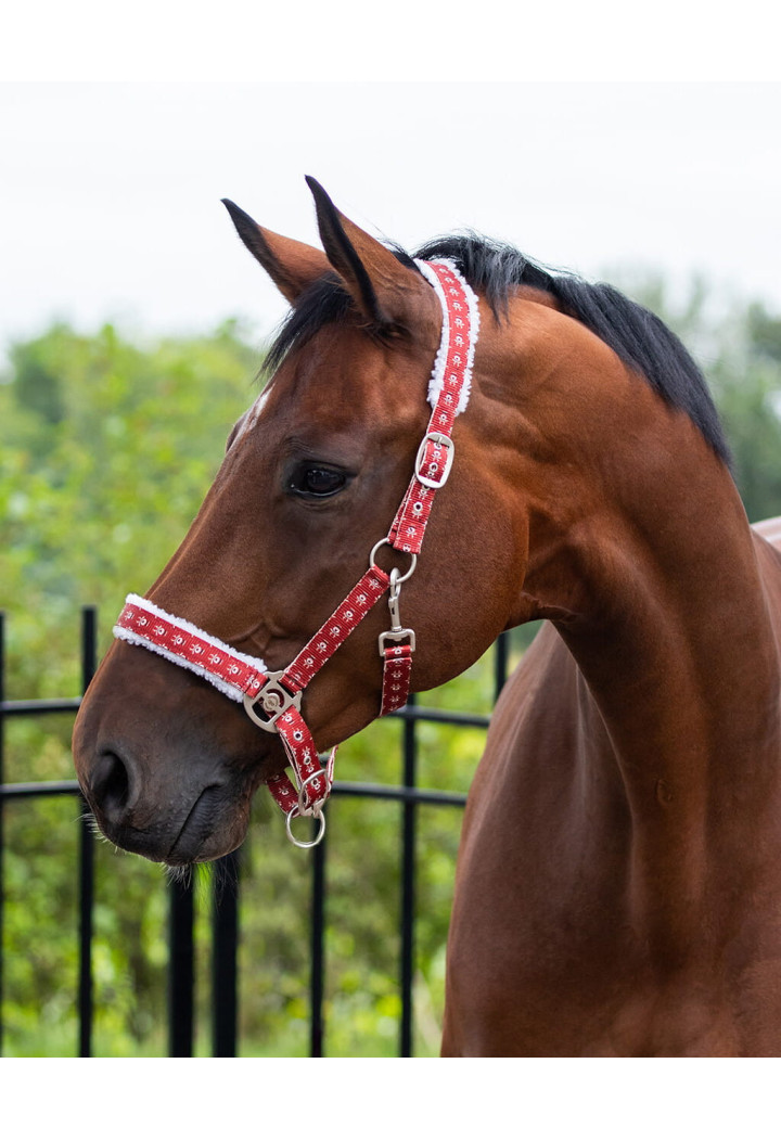 Headcollar QHP Christmas