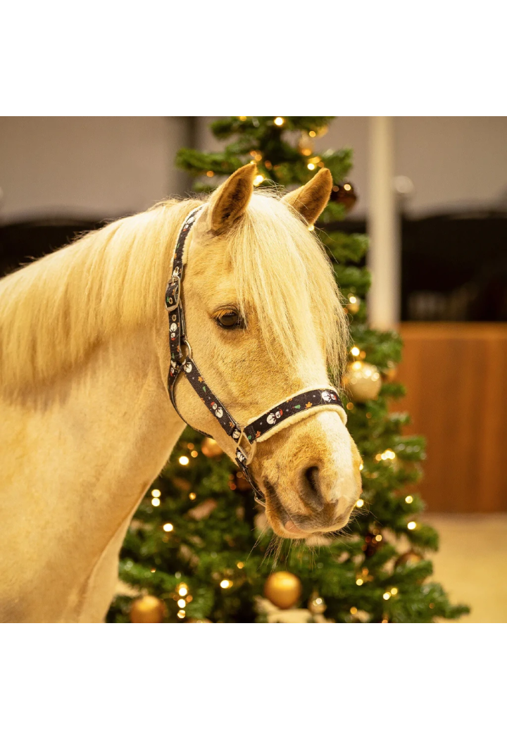 Halfter QHP Christmas