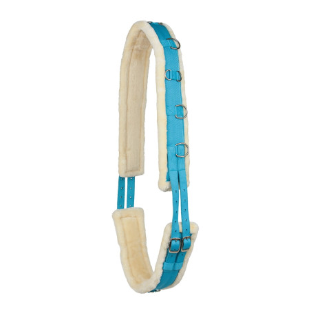 HORZE Lunging Loncing Belt