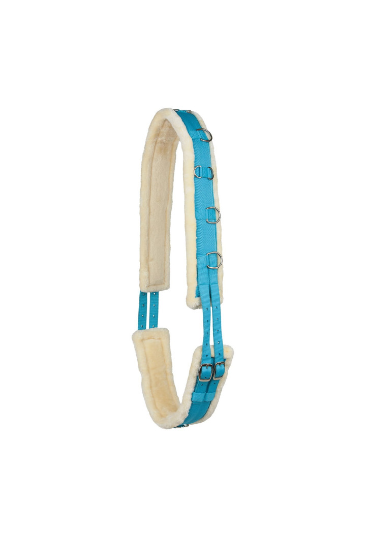HORZE Lunging Loncing Belt