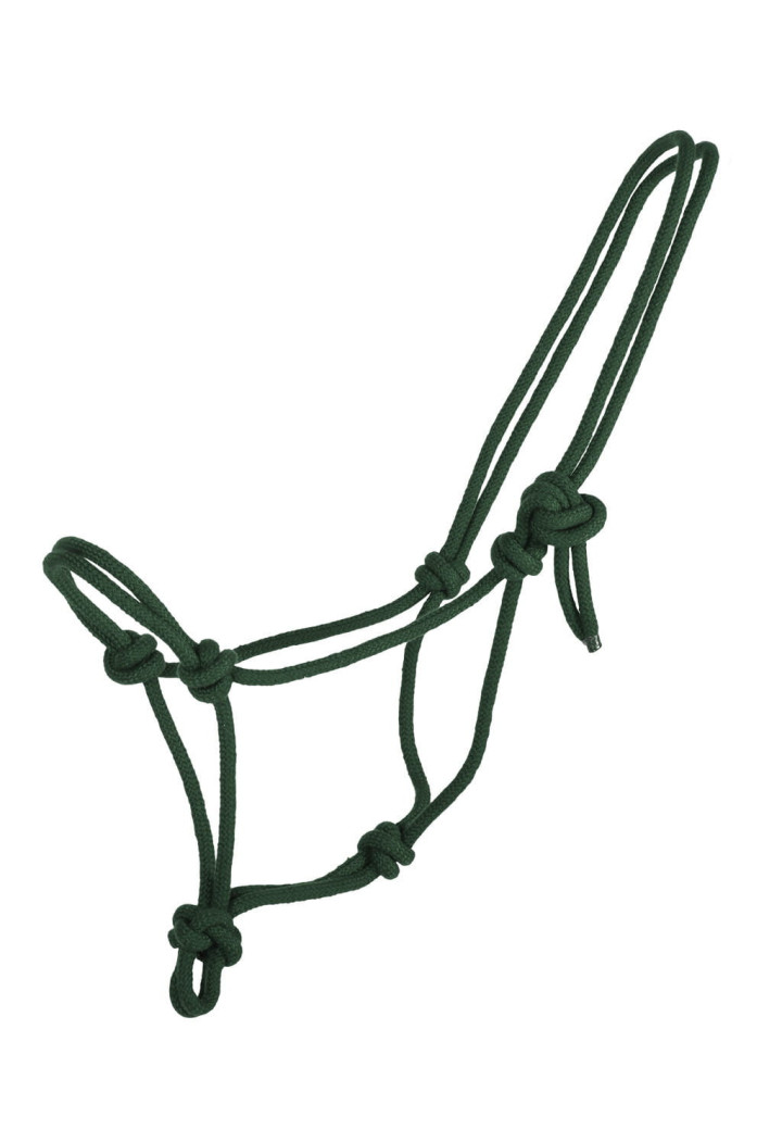Cavezza stringa QHP Basic