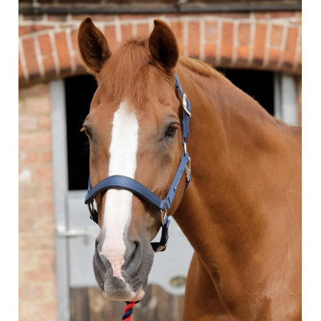 Headcollar PREMIER EQUINE Plain