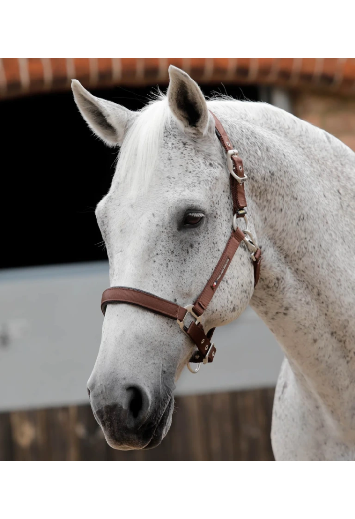 Cavezza PREMIER EQUINE Plain