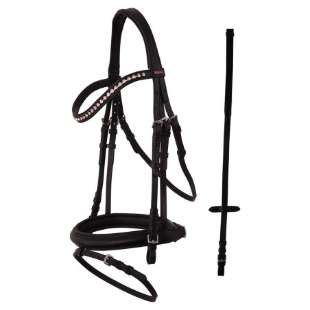 Bridle PREMIERE Rennes