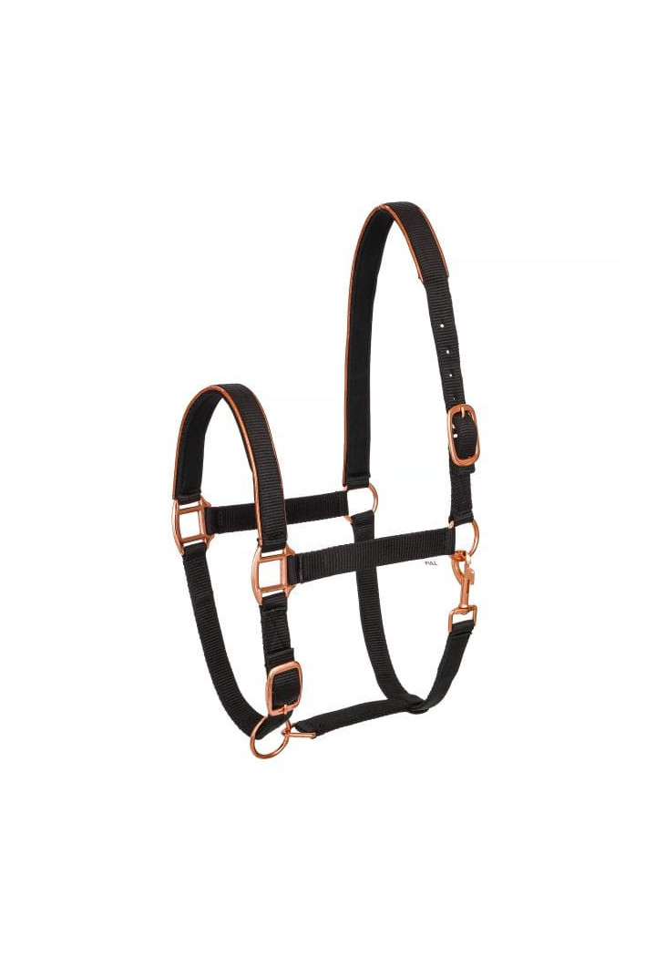 Halfter START Neoprene
